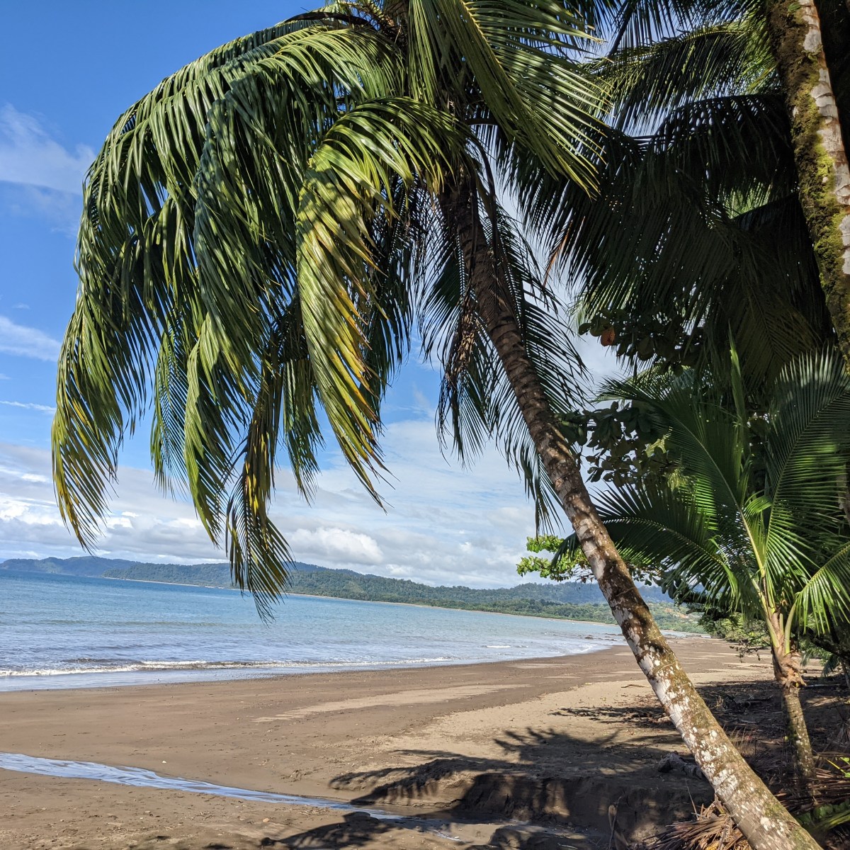 3 nuits à Bahia&nbsp;Drake