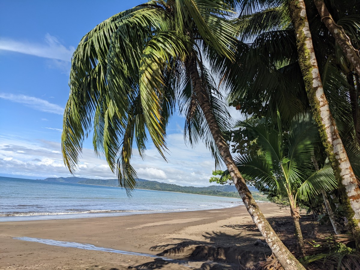 3 nuits à Bahia&nbsp;Drake